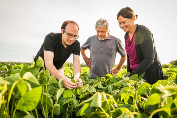 Soybean consultants Peter and Kristina inspect a soybean field together with the farmer, Otmar Binder (centre).