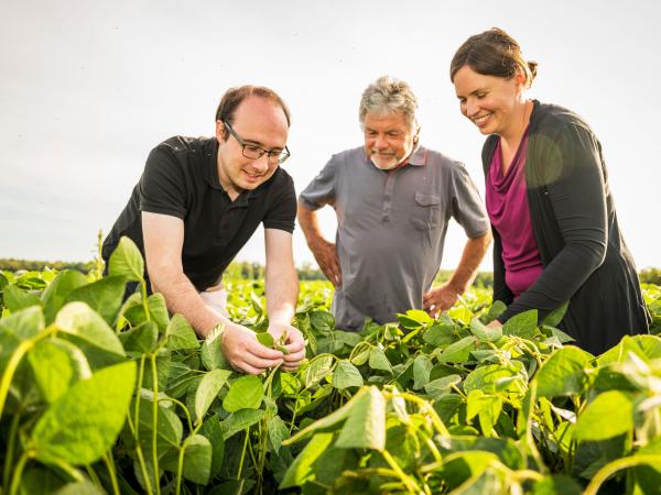 Soybean consultants Peter and Kristina inspect a soybean field together with the farmer, Otmar Binder (centre).