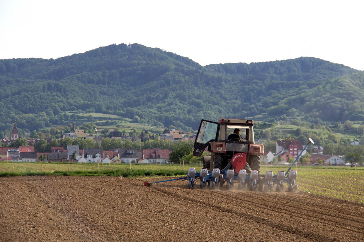Sowing with a view of the Kaiserstuhl near Freiburg.